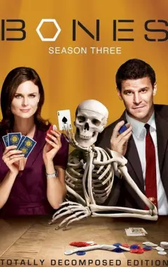 постер Кости 3 сезон 2 серия