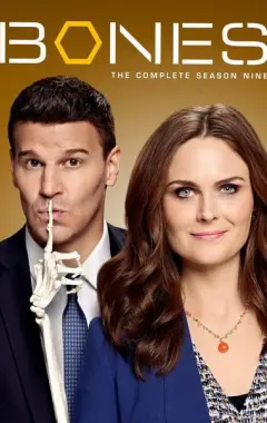 постер Кости 9 сезон 6 серия