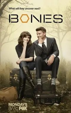 постер Кости 10 сезон 18 серия